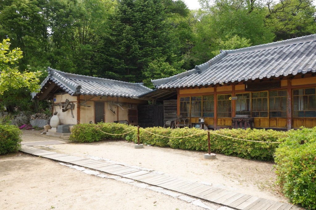 When Buckwheat Flowers&nbsp;Bloom