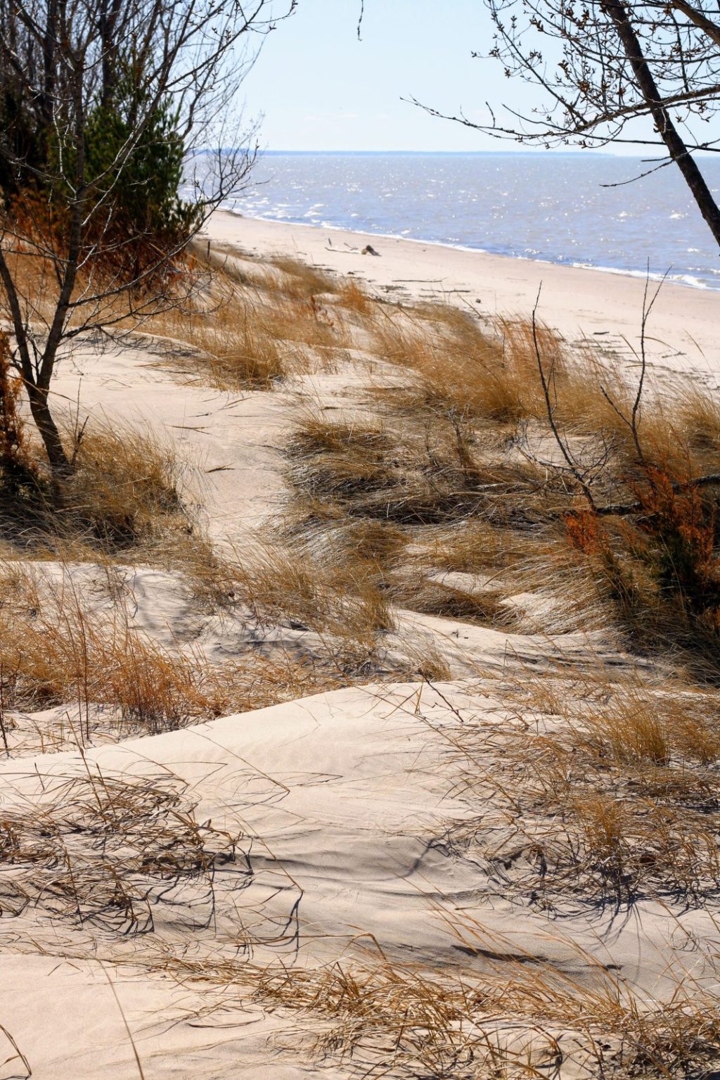 Pinery Provincial Park