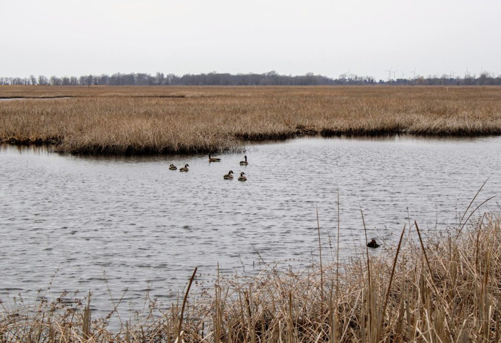 Big Creek National Wildlife&nbsp;Area