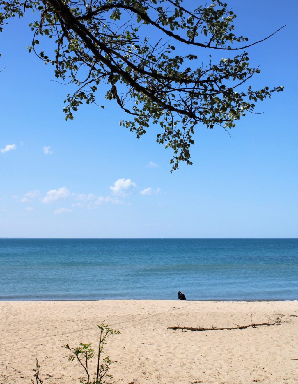 Canatara Beach &&nbsp;Park