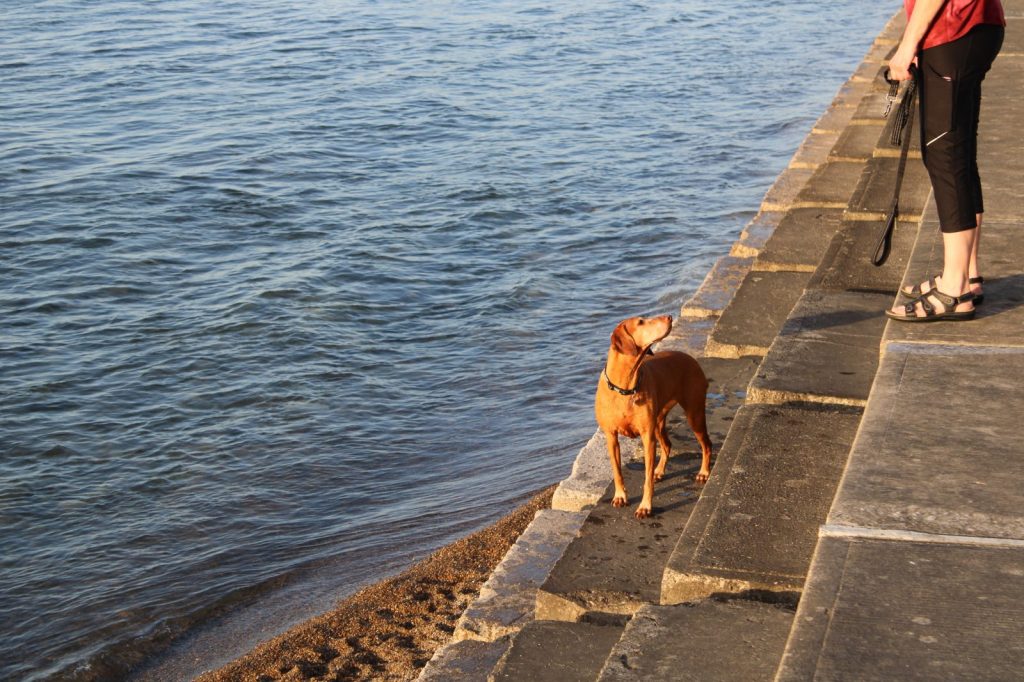 Waterfront Park, Point&nbsp;Edward