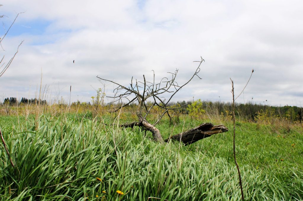 Forks of the Credit Provincial&nbsp;Park