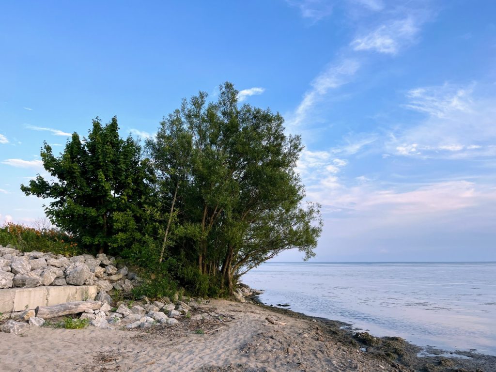 Selkirk Provincial Park