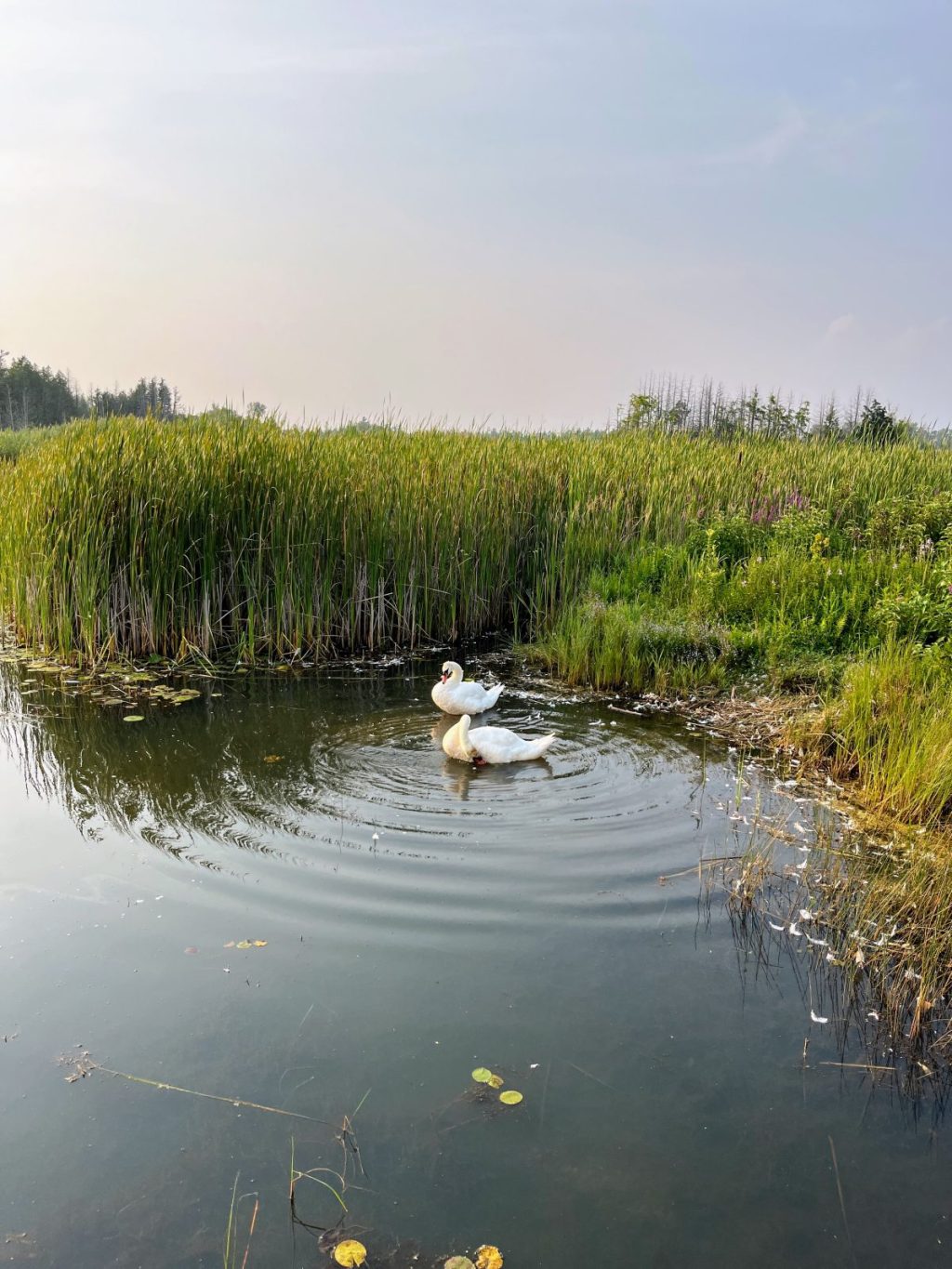 Presqu’ile Provincial Park