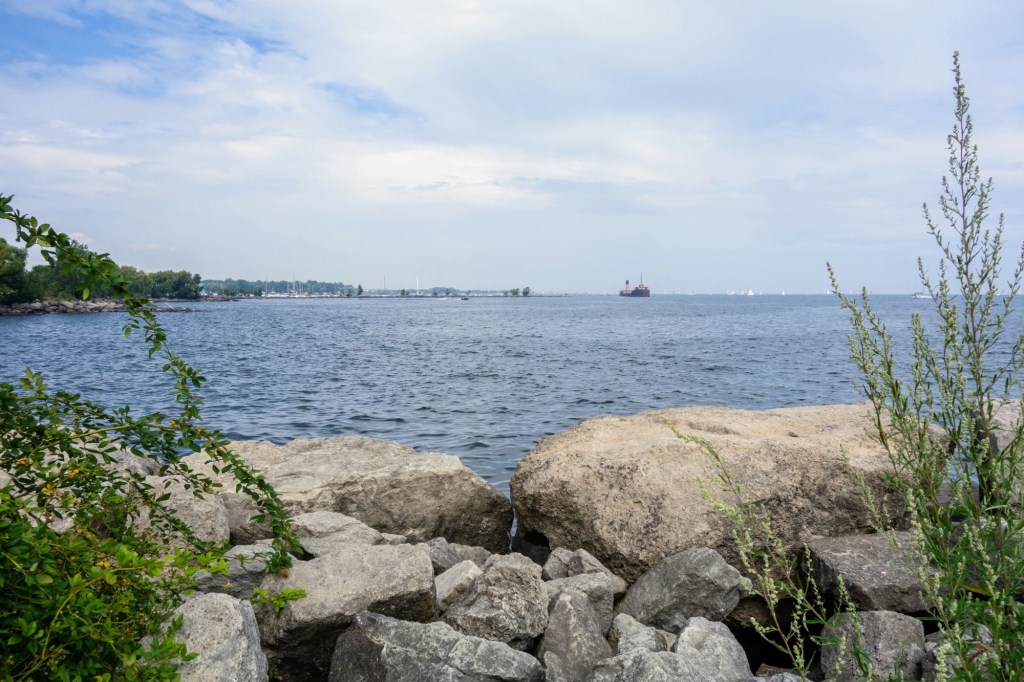 J.C. Saddington Park