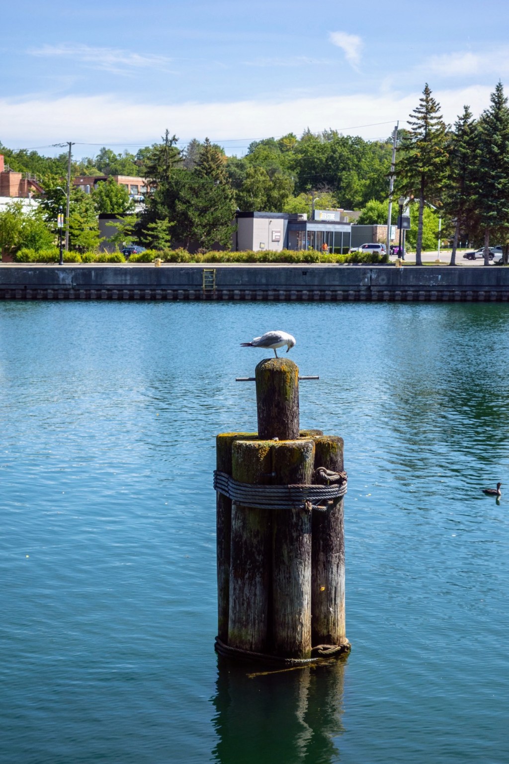 Owen Sound Waterfront