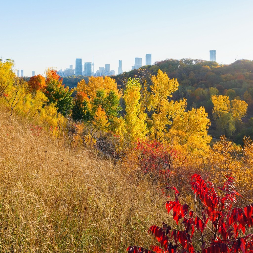 Evergreen Brick Works