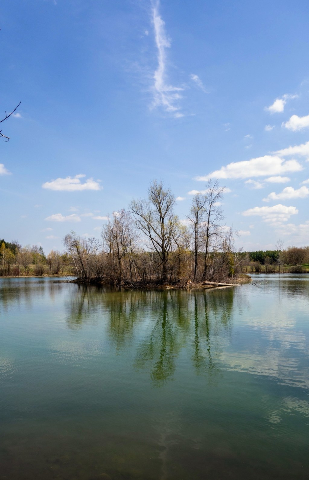 Puslinch Tract Conservation&nbsp;Area