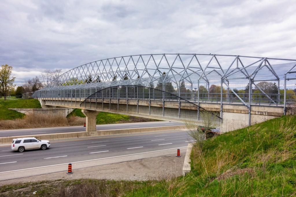 Morningside Dr Trail