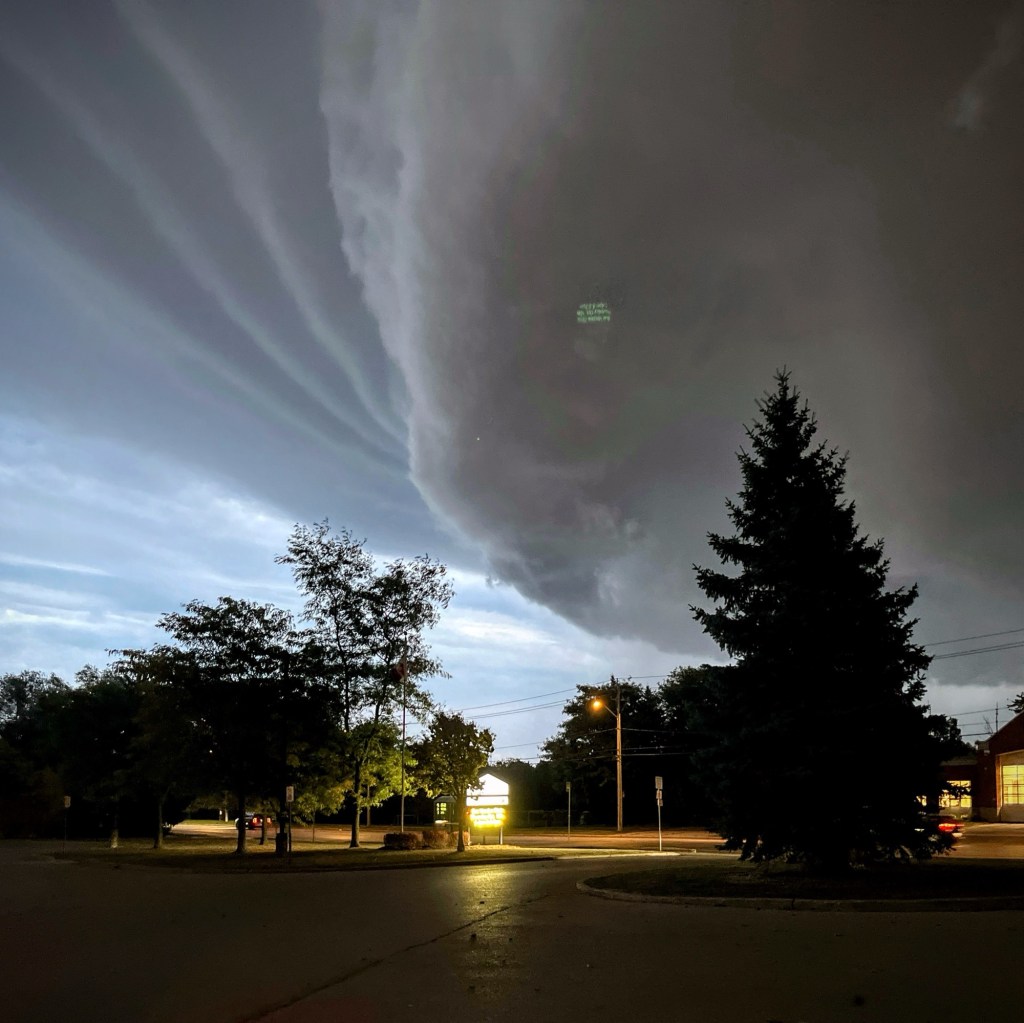 Pioneer Park Library
