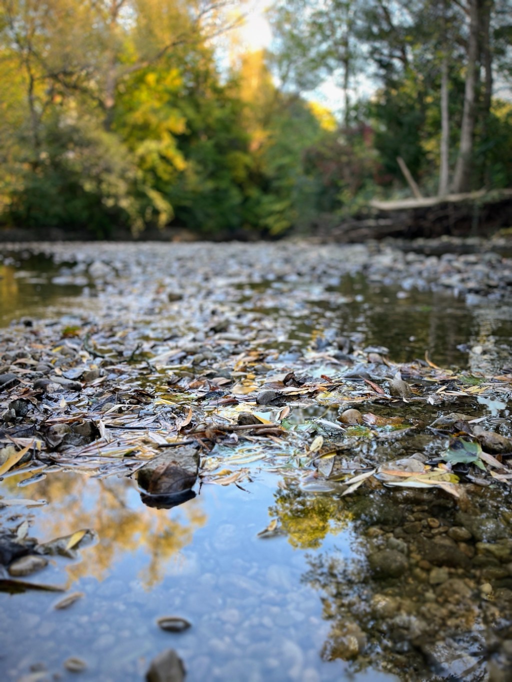 Schneider Creek & Doon Village&nbsp;Rd