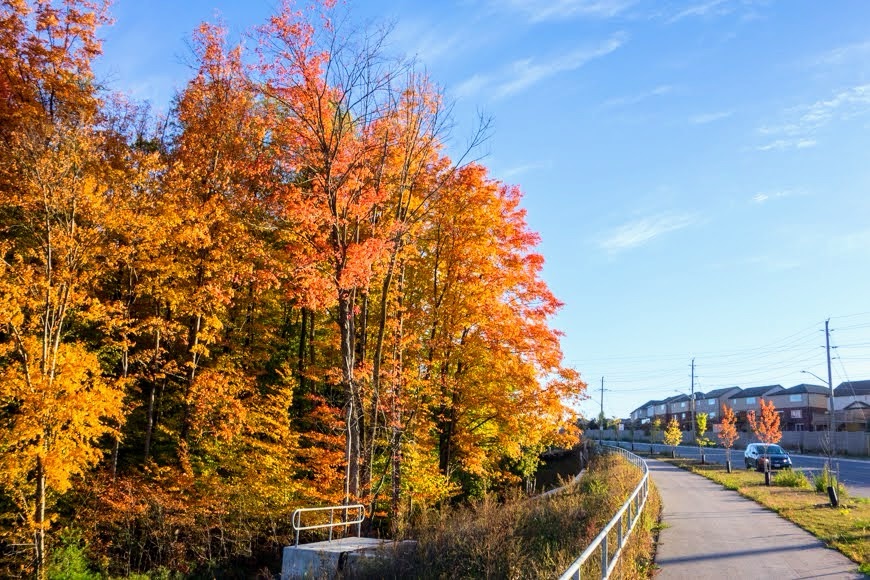 Strasburg Rd, Kitchener