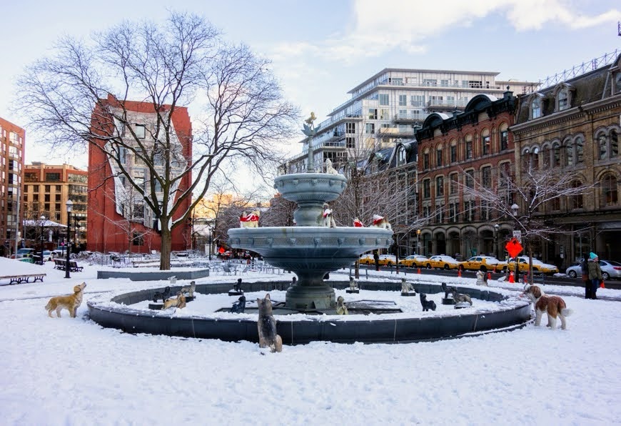 Berczy Park