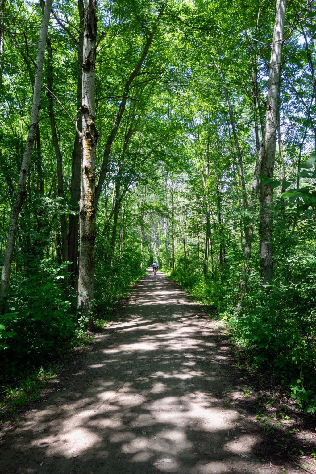 Walter Bean Grand River&nbsp;Trail