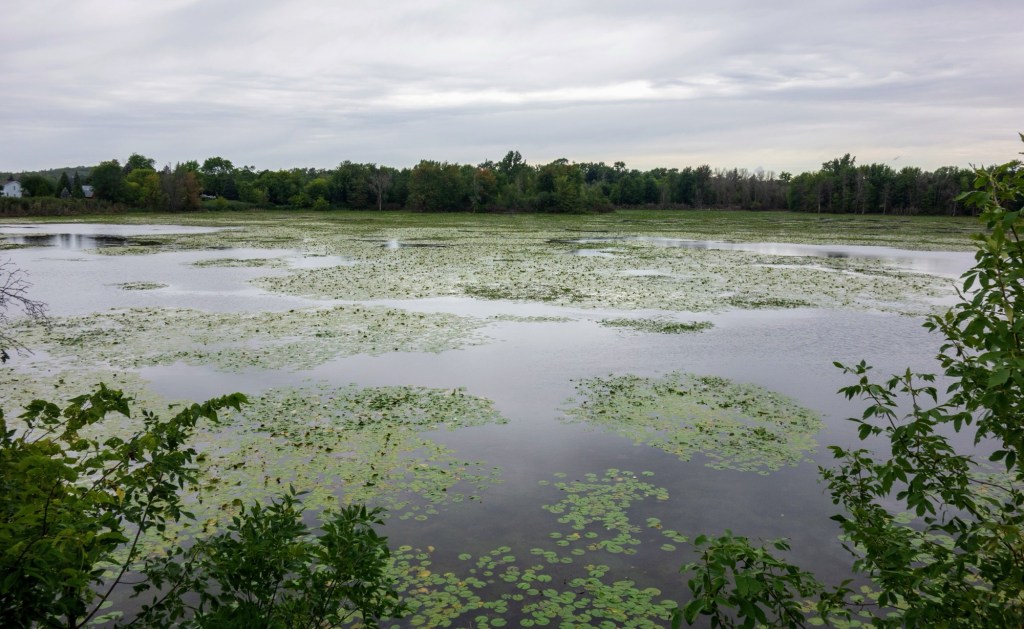 Bannister Lake Conservation&nbsp;Area