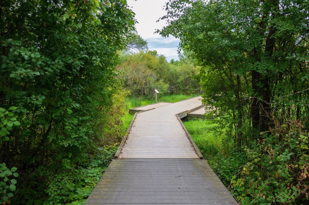 Williamsburg Cemetery