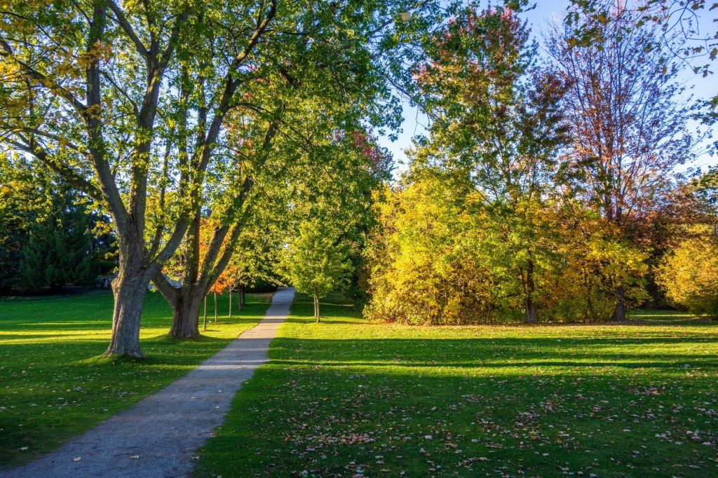 Paletta Lakefront Park