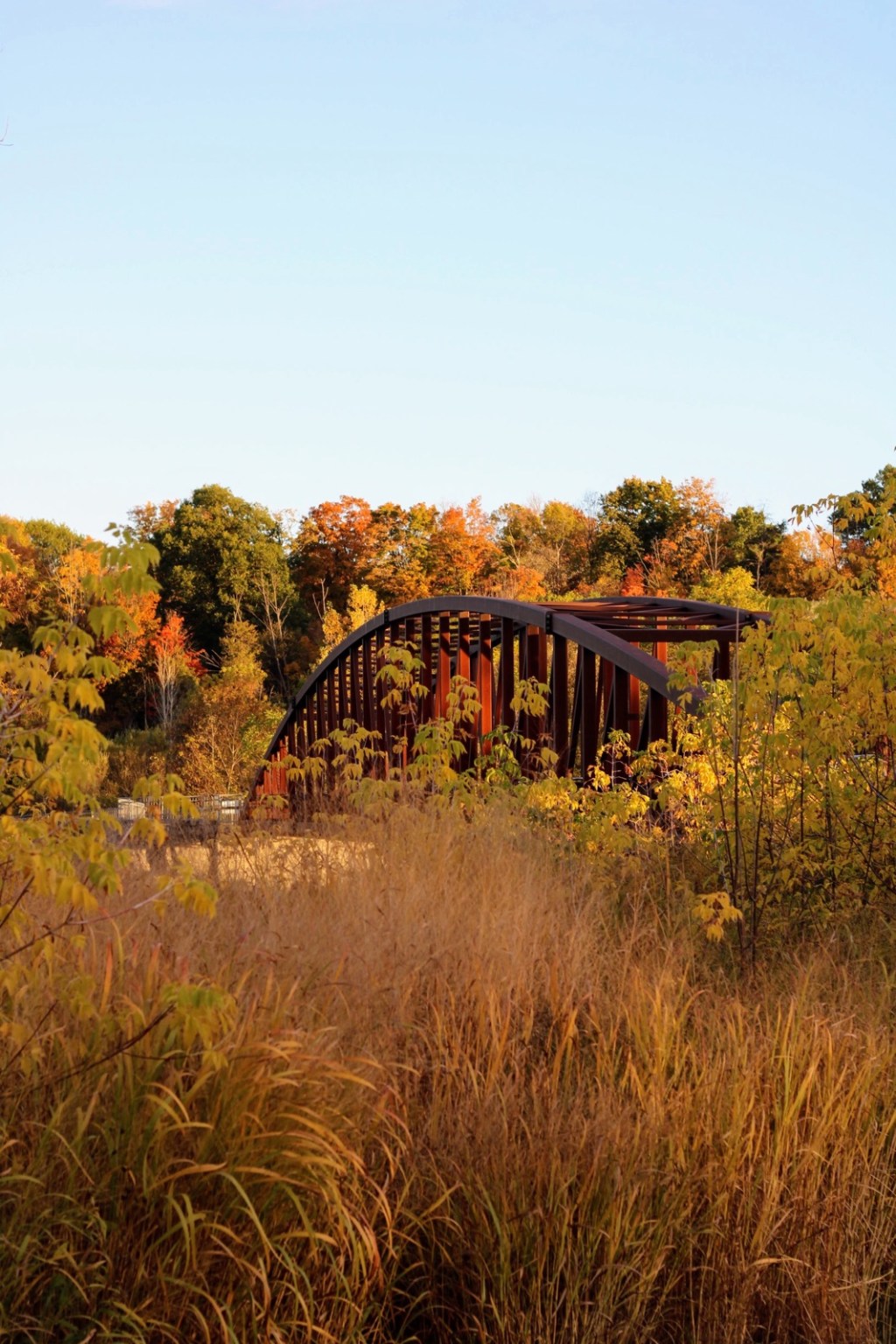 Walter Bean Grand River&nbsp;Trail