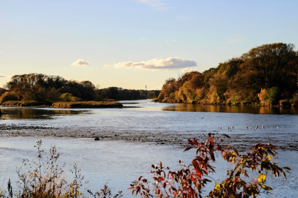 rare Charitable Research Reserve – Osprey Tower&nbsp;Trail