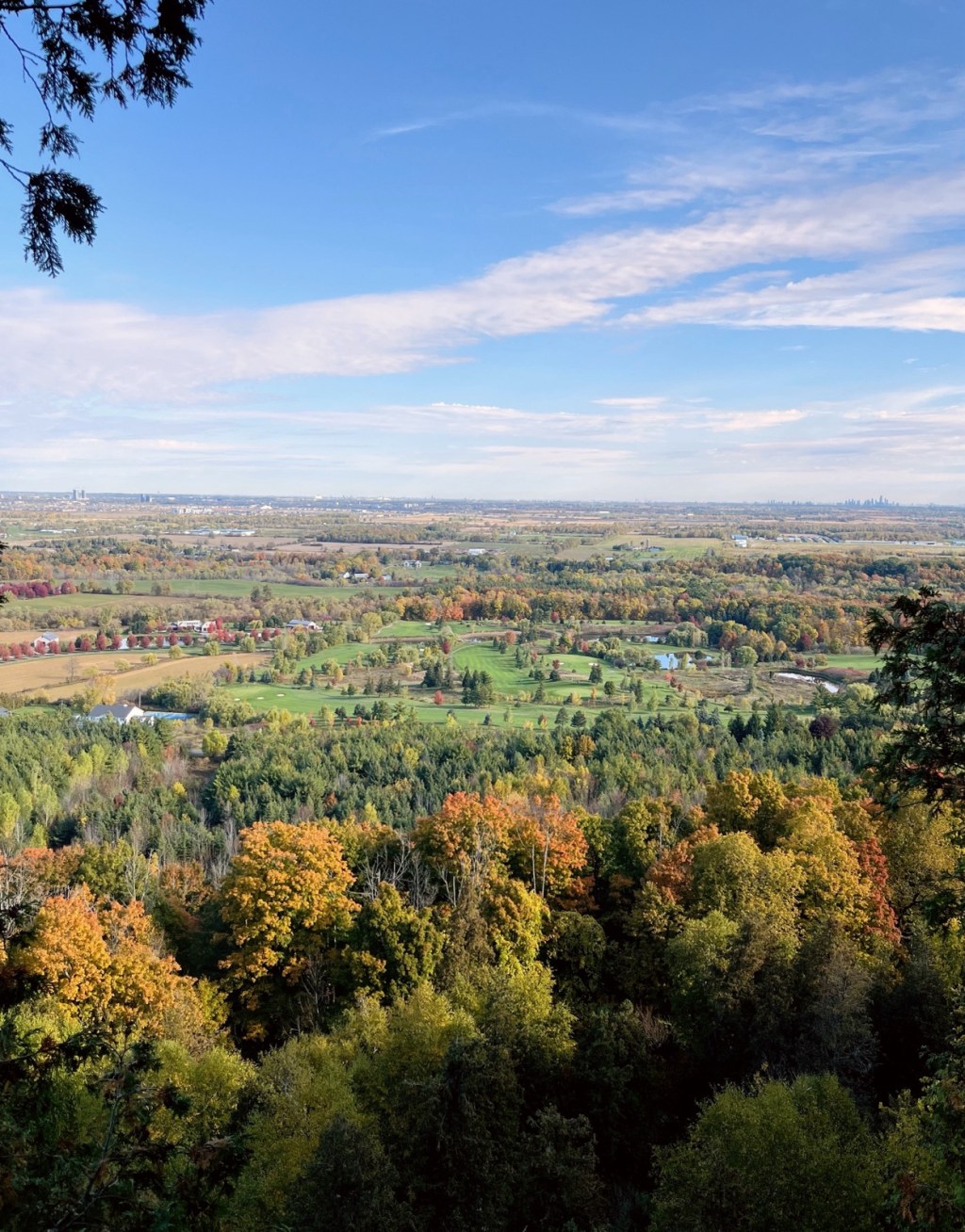 Mount Nemo Conservation&nbsp;Area