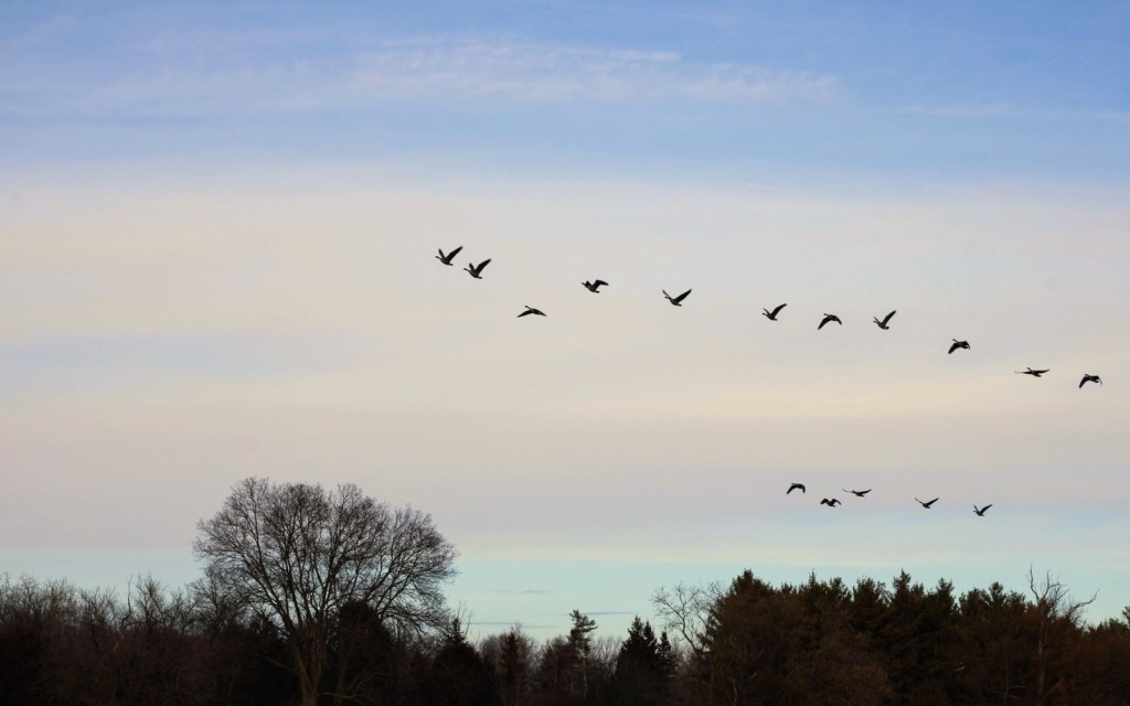 Walter Bean Grand River&nbsp;Trail