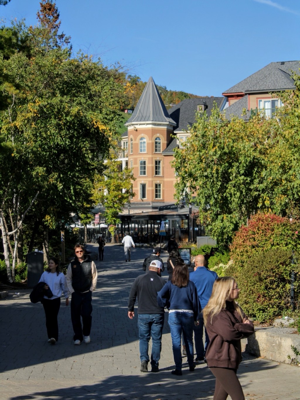 Blue Mountain Village