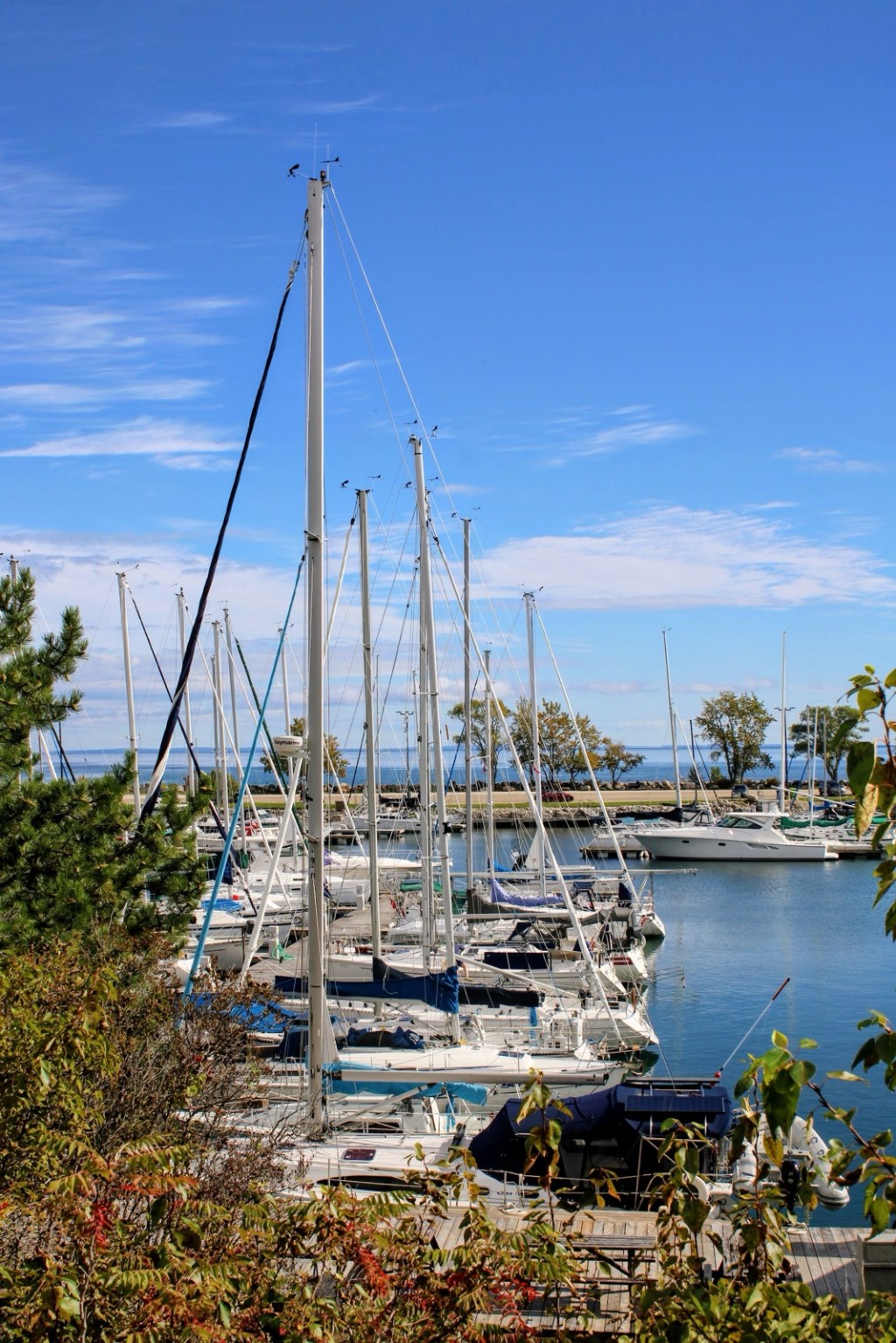 Thornbury Harbour