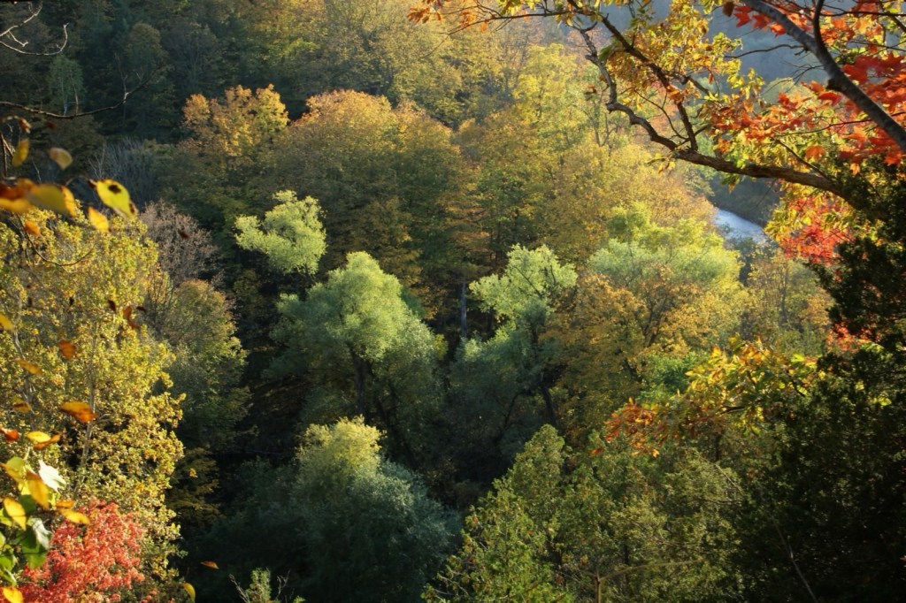 Bronte Creek Provincial Park
