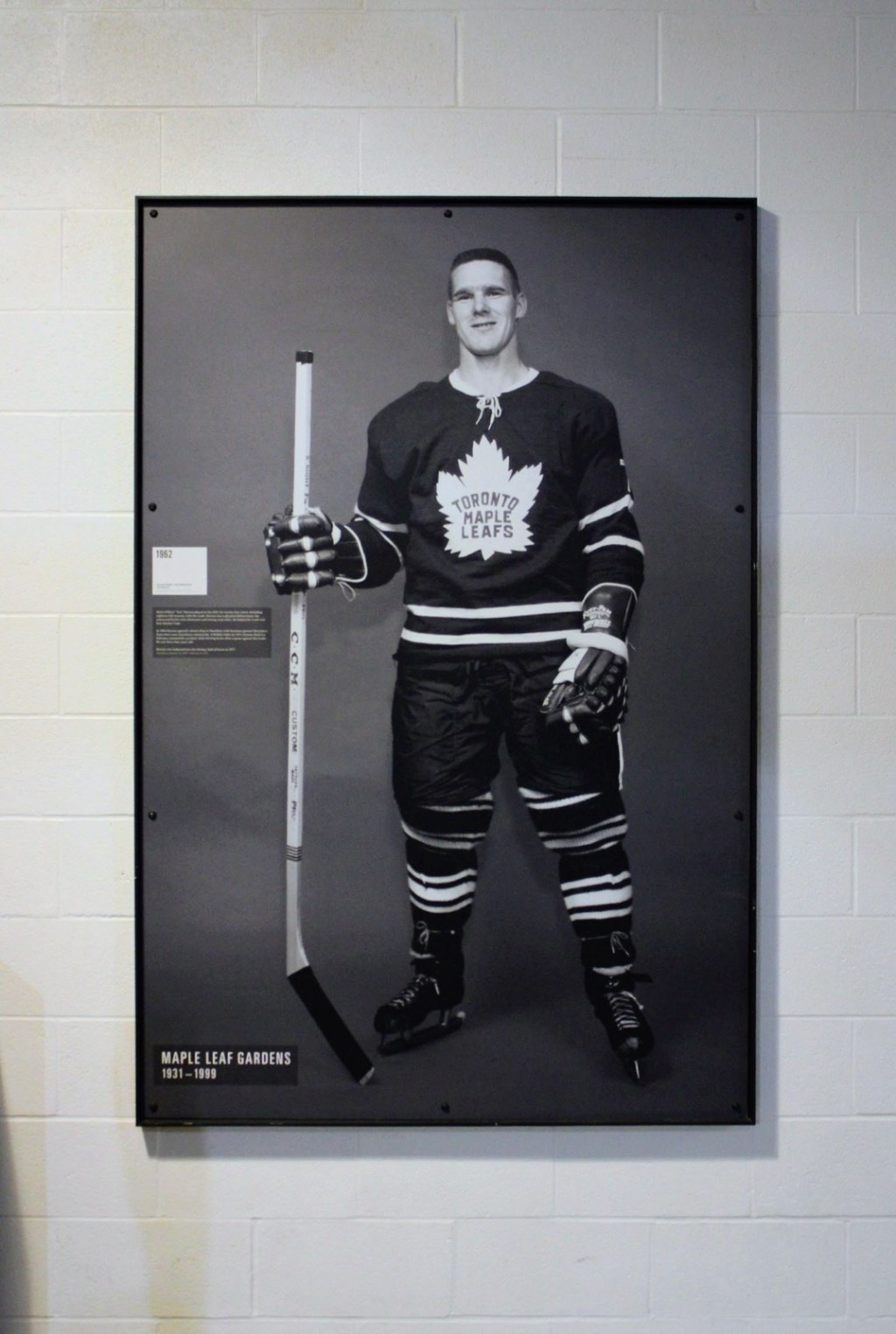 Tim Horton