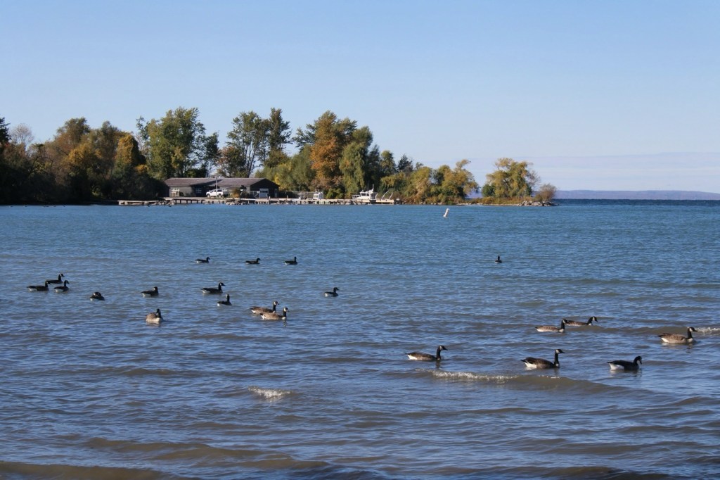 Sibbald Point Provincial&nbsp;Park