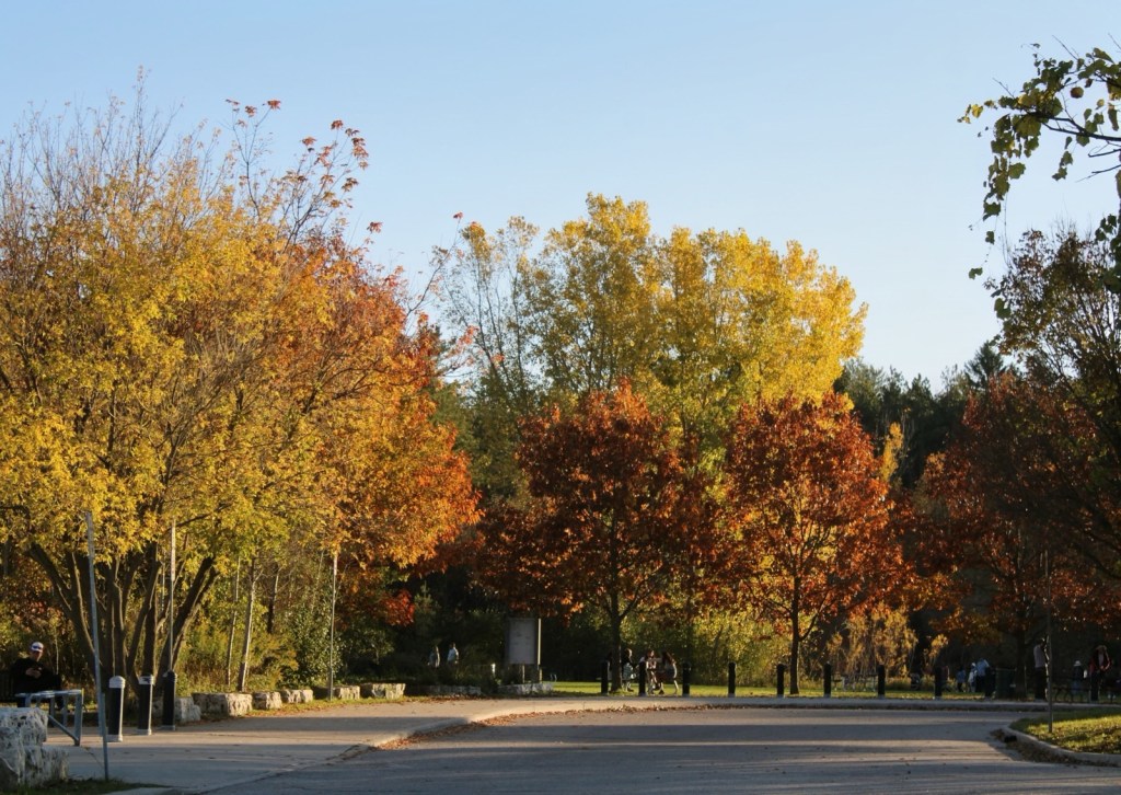 Huron Natural Area